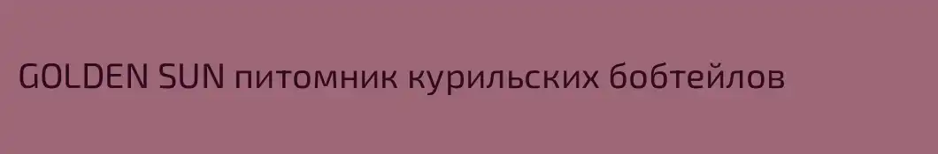 GOLDEN SUN питомник курильских бобтейлов